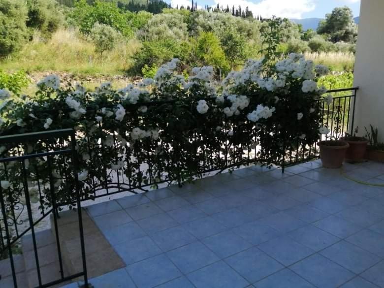 Rosegarden Villa Sami  Ngoại thất bức ảnh